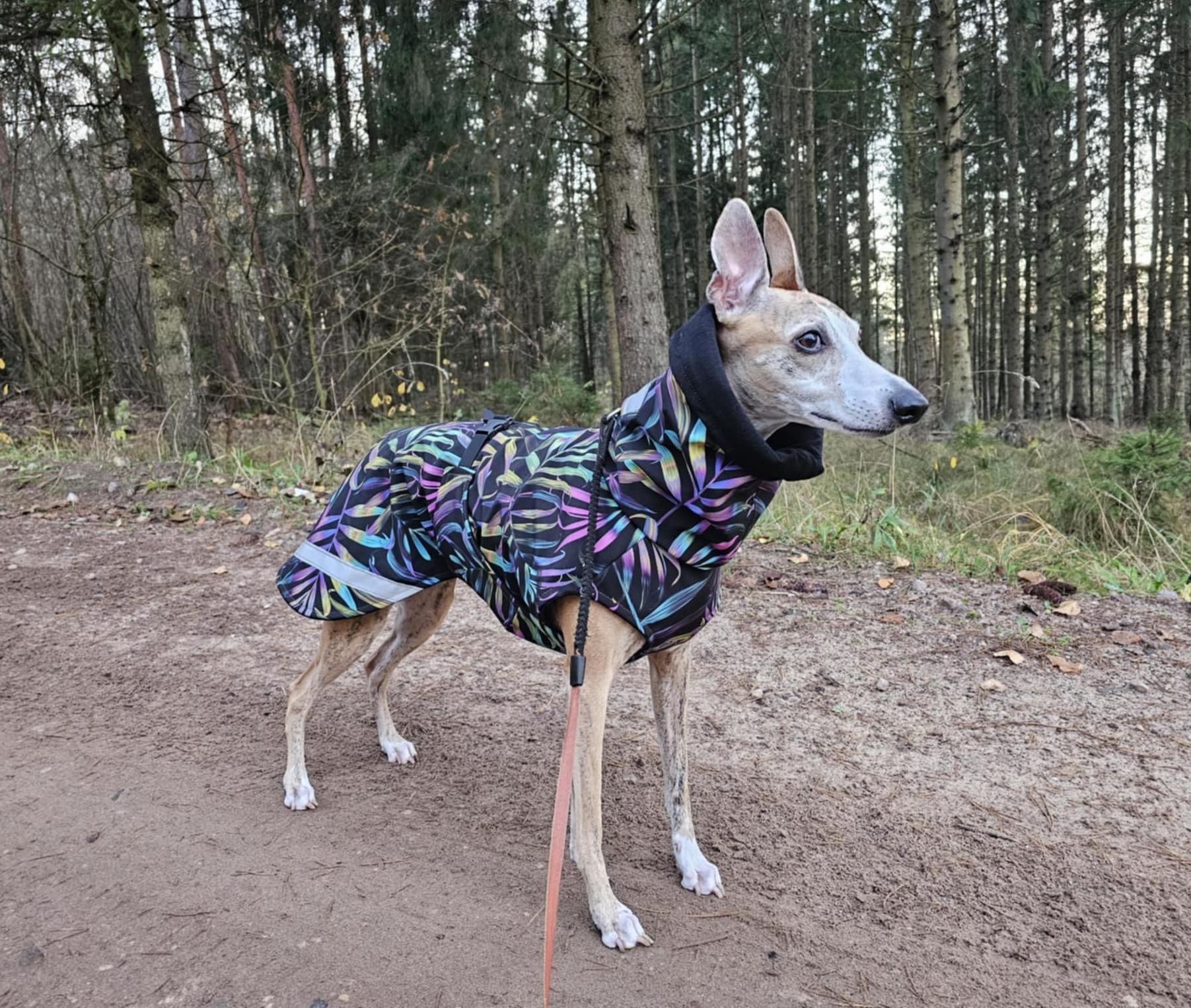 Dog Coat 1