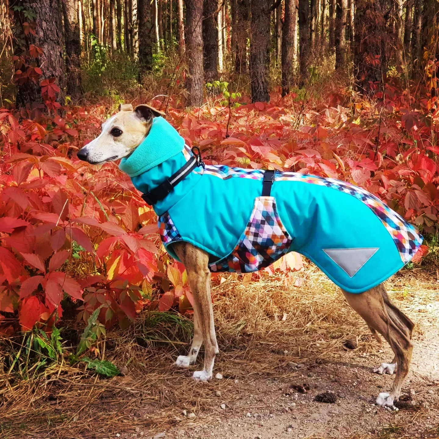 Dog Coat 2